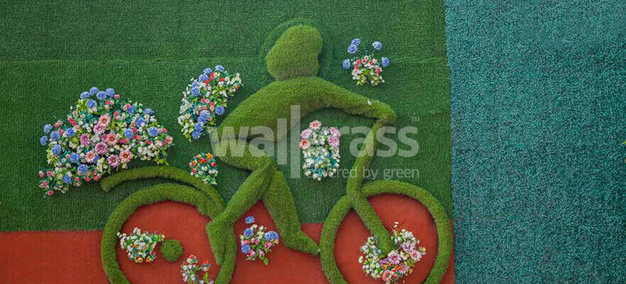 Qu’est-ce que le wallgrass? Quels sont les domaines d’utilisation?