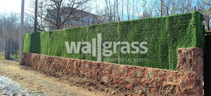 Qu'est-ce que Wallgrass ? Quels sont Les Domaines d'utilisation ?